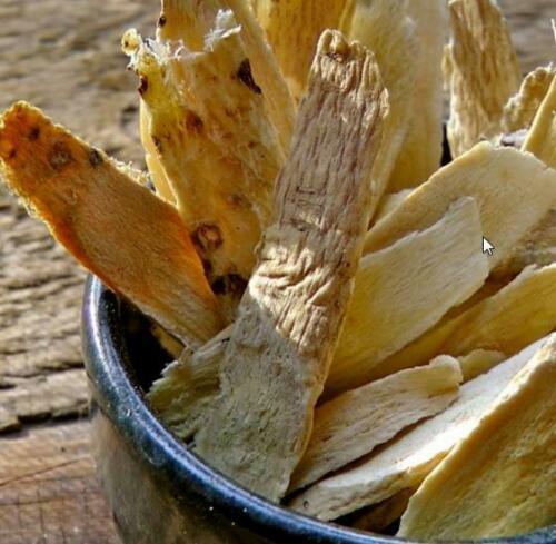 50 Astragalus Membranaceus Seeds - Seed World