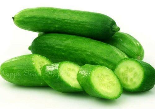 50 Cucumber King of Salad Seeds, Non-GMO - Seed World