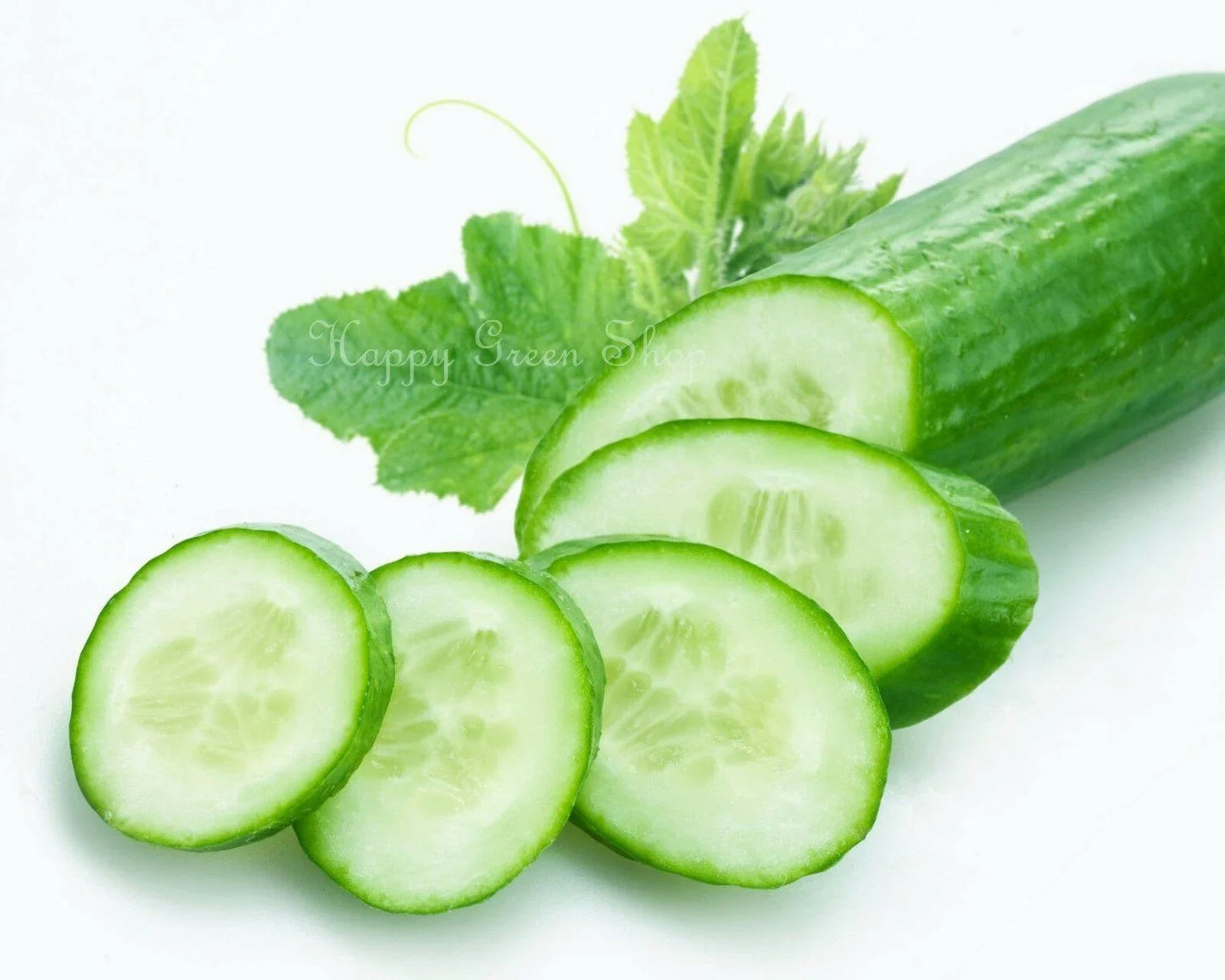 50 Cucumber King of Salad Seeds, Non-GMO - Seed World