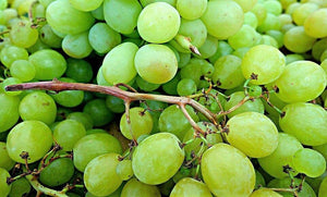 50 Green Grape Fruit Vine | Vitis Vinifera Seeds - Seed World