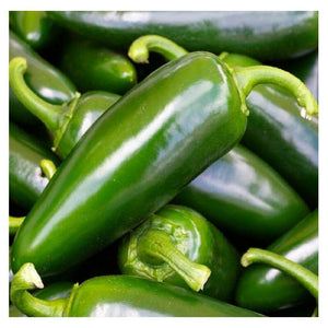 50 Hot Jalapeno Chilli Pepper Seeds - Seed World