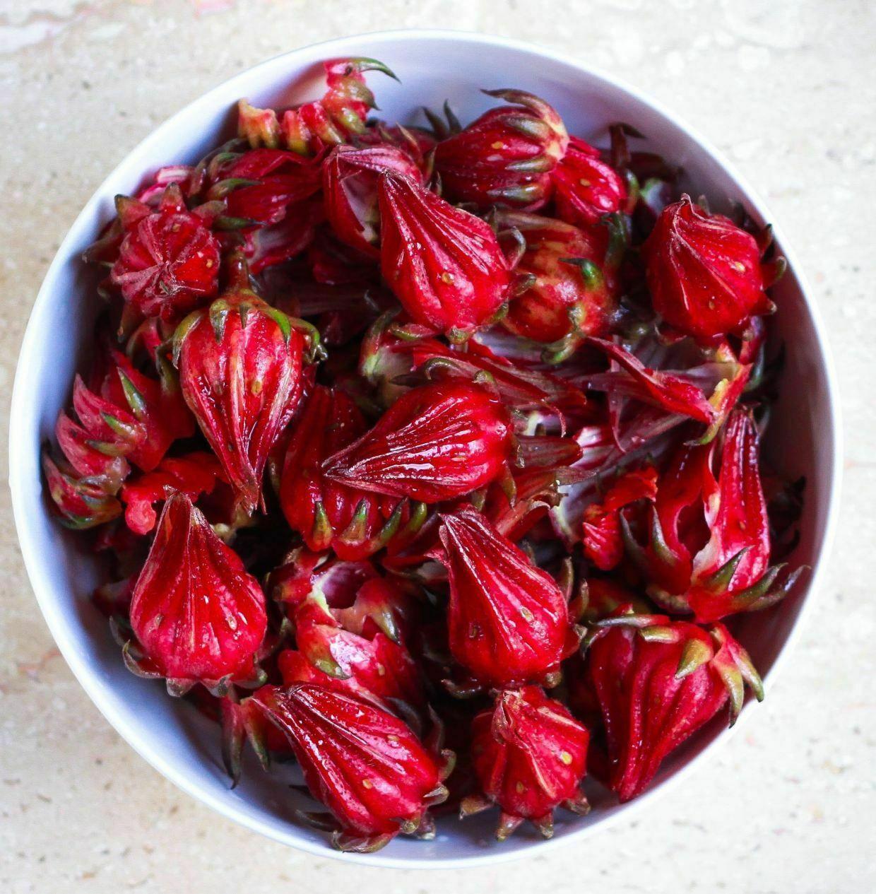 50 Red Hibiscus Roselle Seeds - Seed World