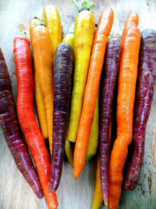600 Rainbow Mix Carrot Seeds - NON-GMO - Seed World
