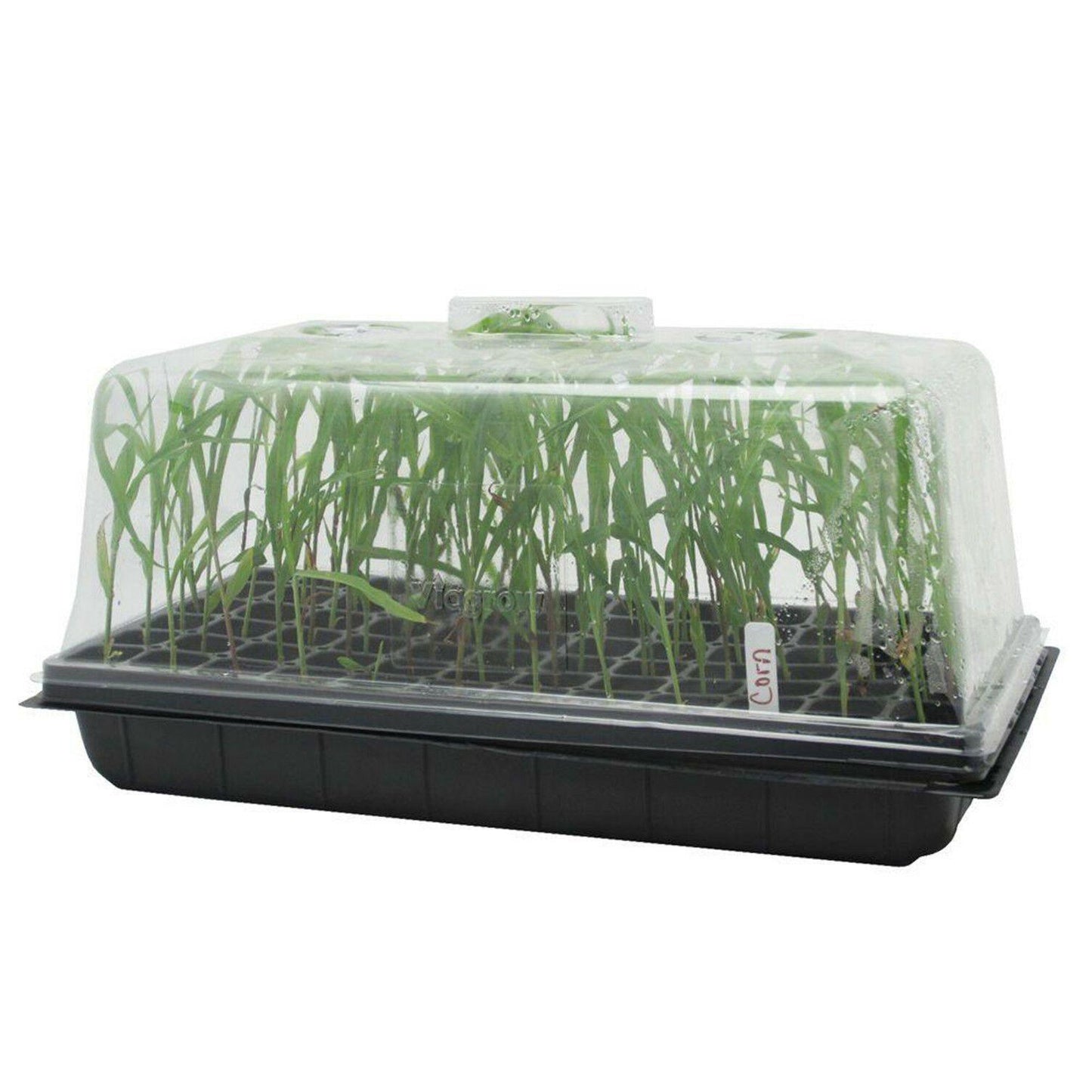 72 Cell Seed Starter Propagation Kit Tray - Seed World