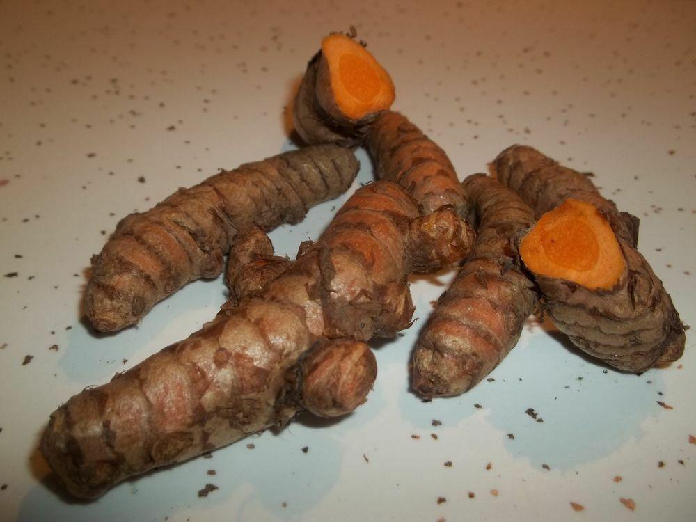 8 Turmeric Curcuma Longa Root To Plant - Seed World