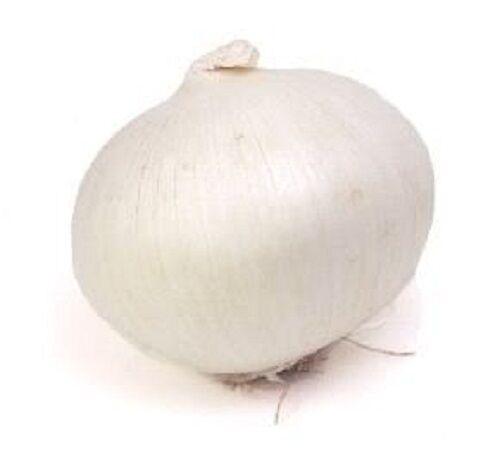 250 Eclipse Onion Seeds - Seed World