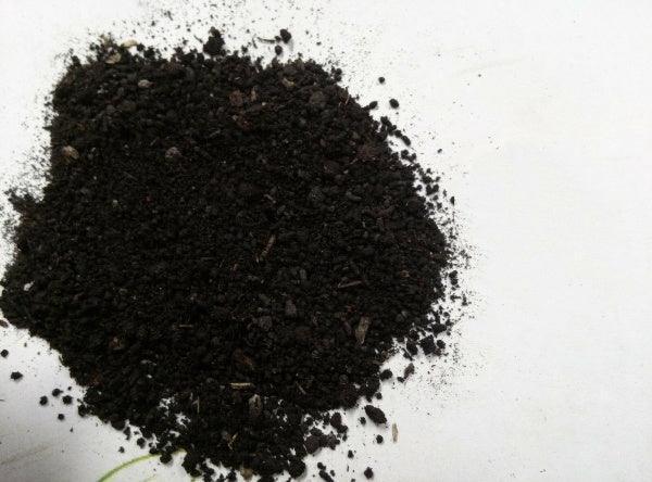 Best Organic Worm Castings Odorless Soil Enhancer for All Plants - 5 lbs - Seed World