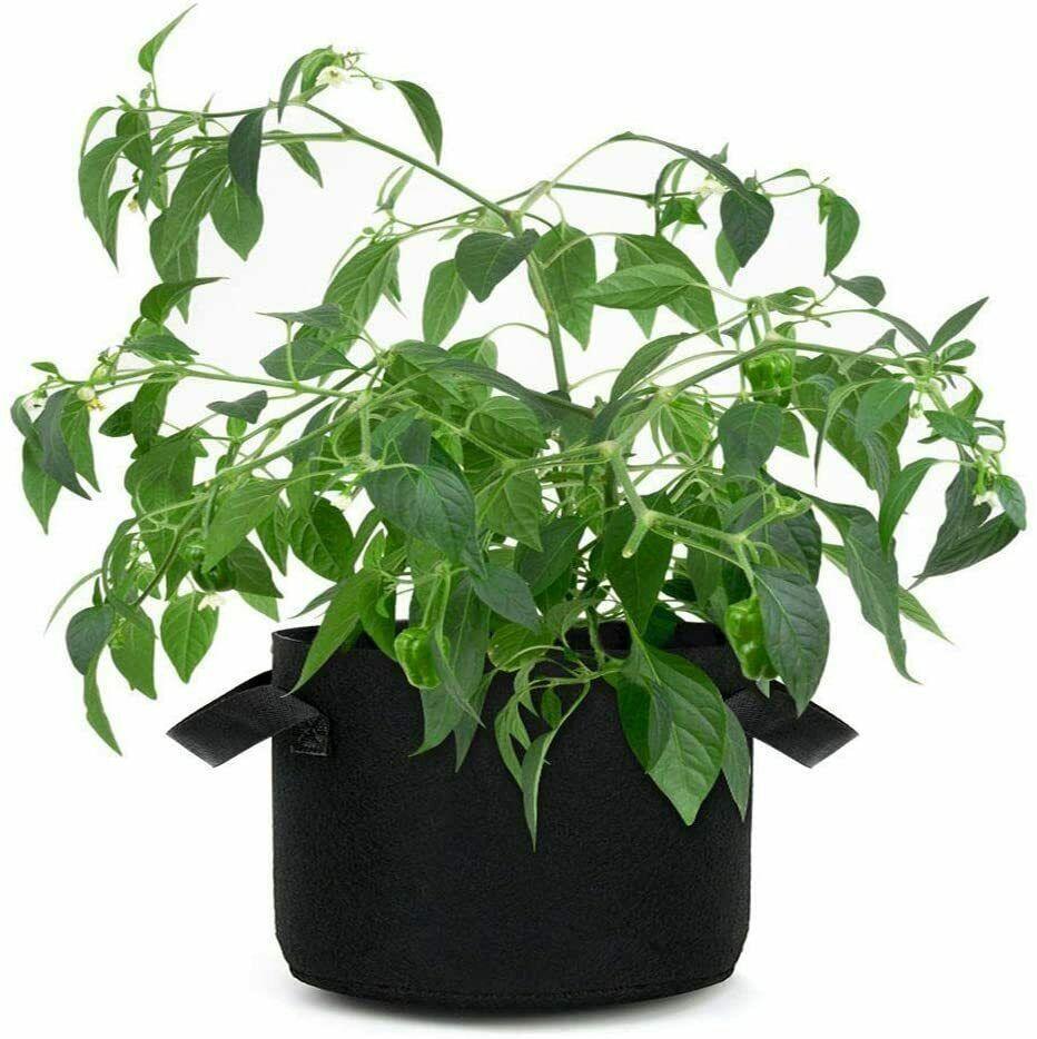 Garden Grow Bags | 6 Pieces - Seed World