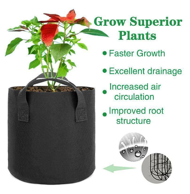 Garden Grow Bags | 6 Pieces - Seed World
