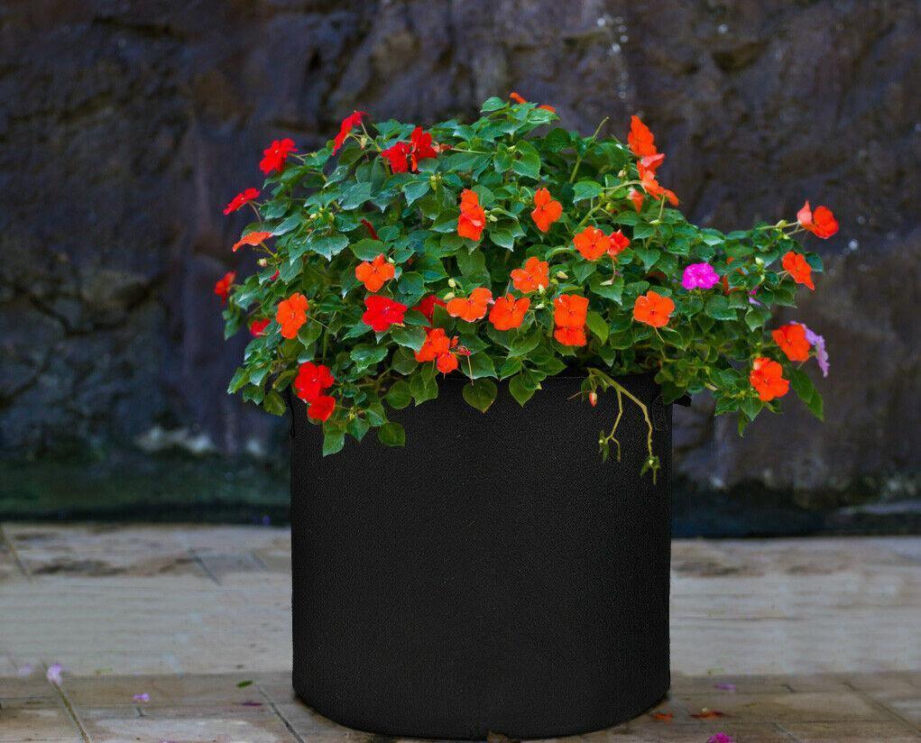 Garden Grow Bags | 6 Pieces - Seed World