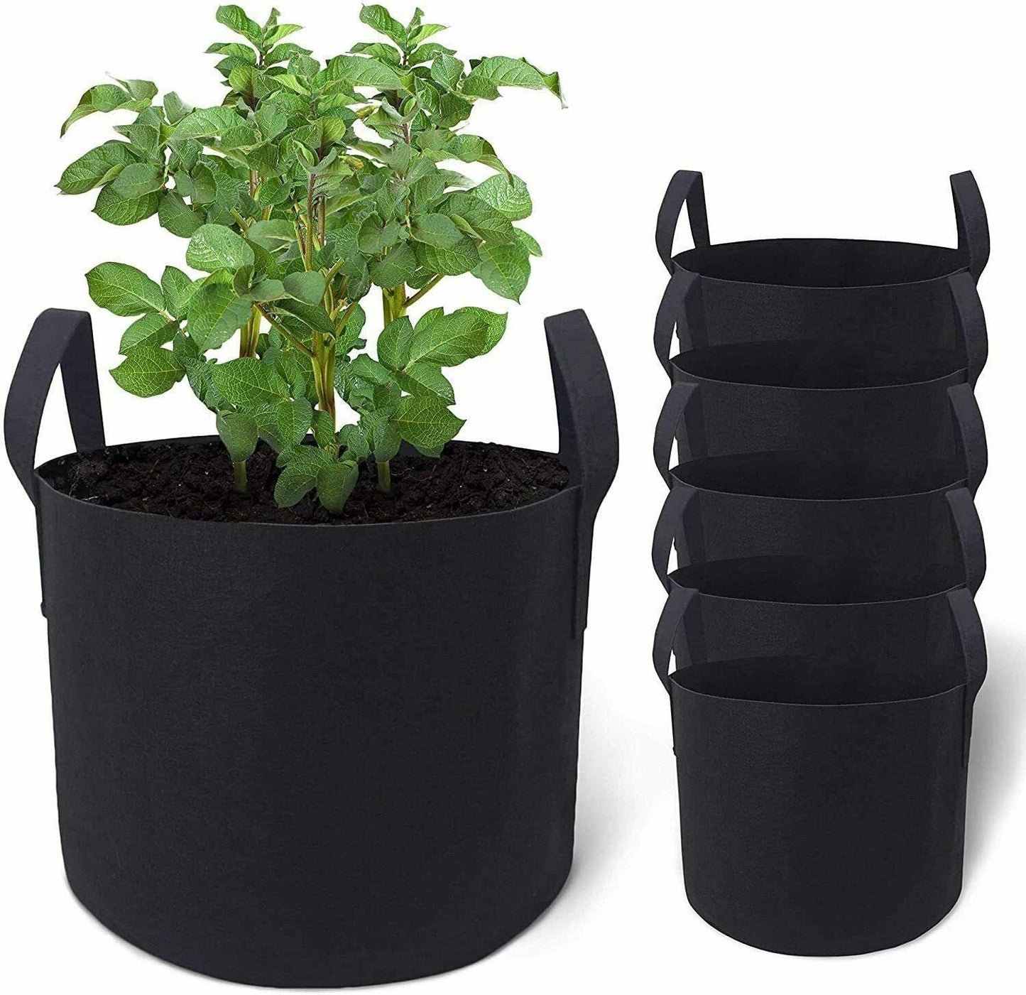 Garden Grow Bags | 6 Pieces - Seed World
