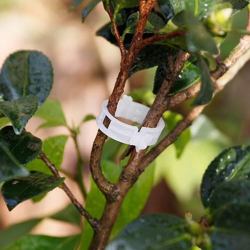100 Garden Plant Support Clips - Seed World
