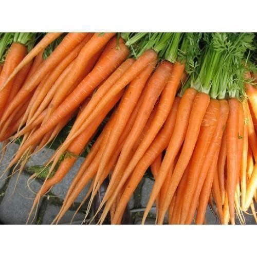 Imperator Carrot Seeds - Seed World