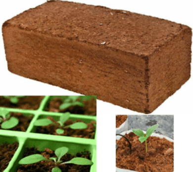 Organic Coco Coir Bricks - Seed World
