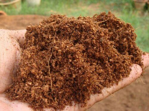 Organic Coco Coir Bricks - Seed World