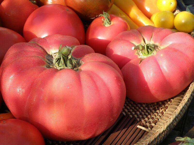 Pink Brandywine Tomato Seeds - Seed World