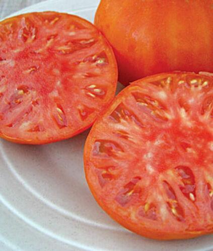 Pink Brandywine Tomato Seeds - Seed World