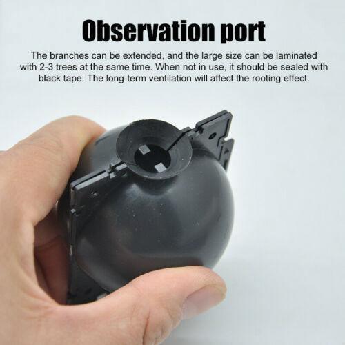 Plant Root Growing Box (2 Pieces) - Seed World