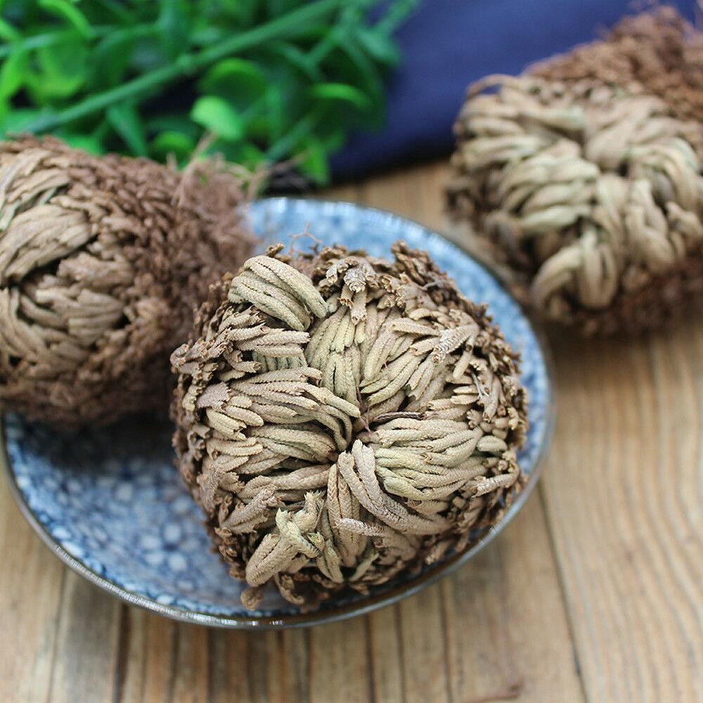 Resurrection Rose Of Jericho Live Magic Plant - Seed World