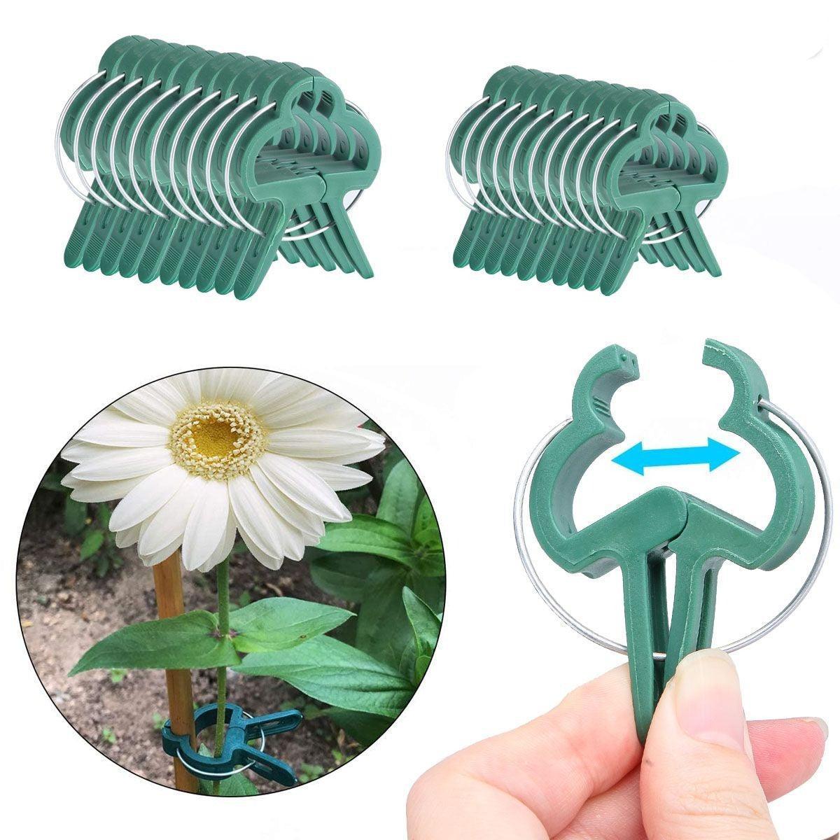 Reusable Large Plant & Garden Clips Support Tomato Vegetable Trellis Twine Ties - Seed World