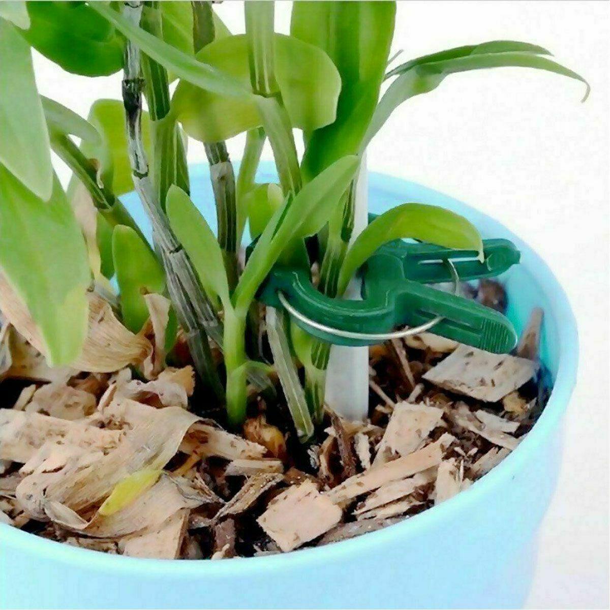 Reusable Large Plant & Garden Clips Support Tomato Vegetable Trellis Twine Ties - Seed World