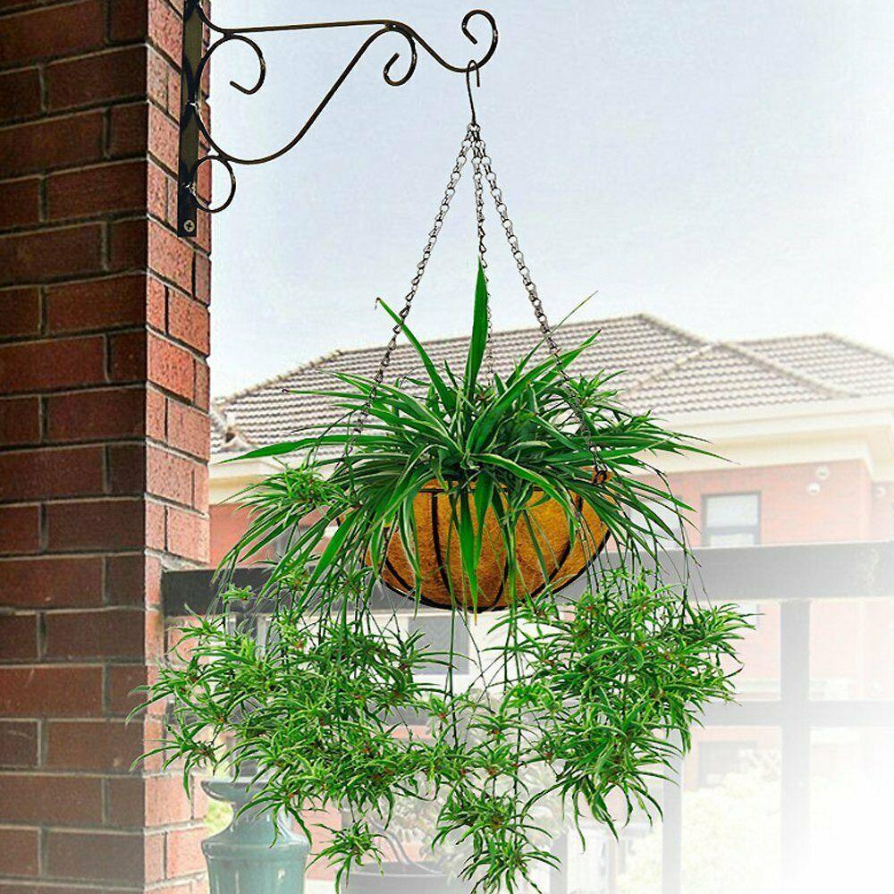 Round Hanging Basket Coco Liner Coconut Fiber Replacement - Seed World
