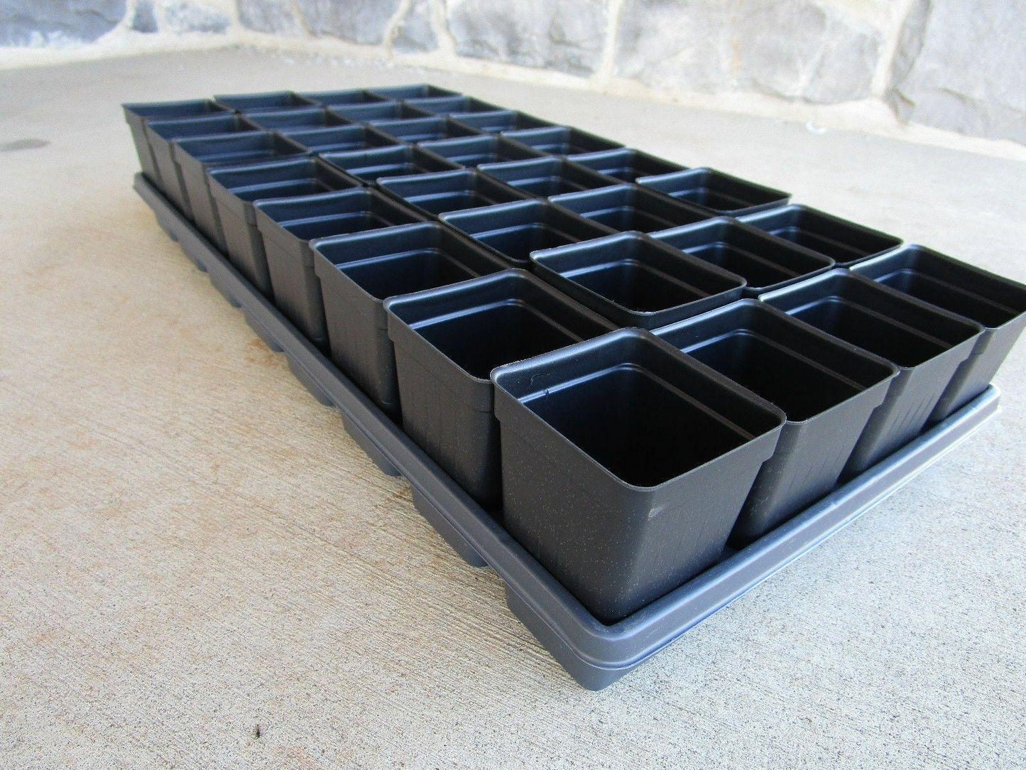Set of 3 Divided Trays and 96 - 2.5 Inch Square Deep Nursery Pots - Seed World