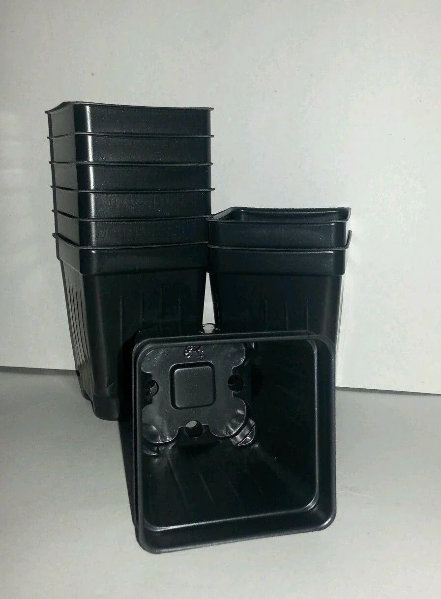 Set of 3 Divided Trays and 96 - 2.5 Inch Square Deep Nursery Pots - Seed World