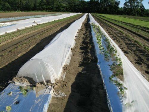 Silver Metallic Plastic Mulch Ground Cover 1.0 mil Embossed 4 ft x 25 ft - Seed World
