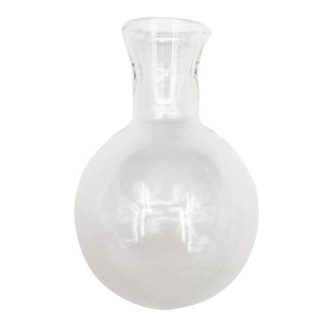 Terrarium Hydroponic Plant Vases - Seed World