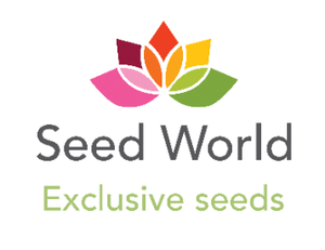 About Seed World Marketplace - Seed World