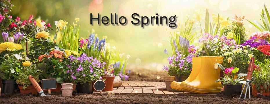 Buying Flower Seeds Online To Get Your Garden Ready For Spring Vibrance