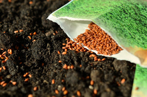 Buying seeds online - Seed World