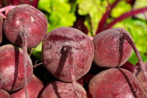 Growing Beets from Seeds: From Sowing to Harvest - Seed World