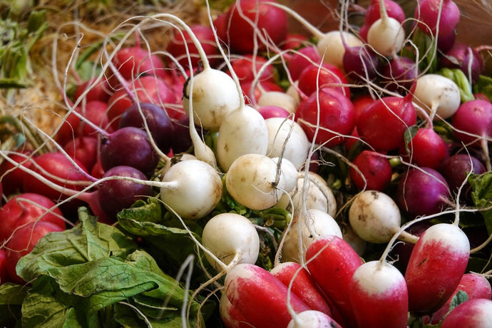 How to Grow and Harvest Radish from Seeds | The Ultimate Guide