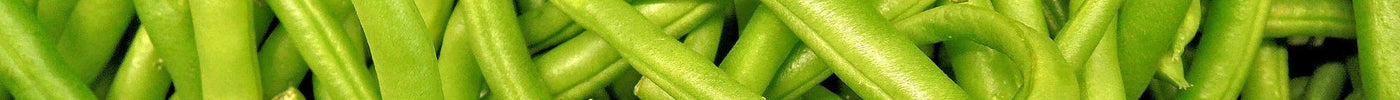 How to Grow Beans | From Sowing to Harvest - Seed World