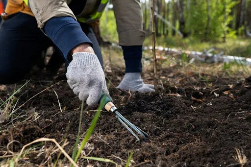 Soil For Spring Season