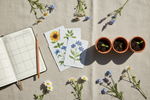 Seed packets, terracotta seedling pots with sprouting plants, and a garden planting journal arranged on a linen surface for seasonal planting planning