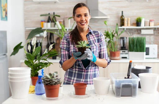 Organic Kitchen Garden