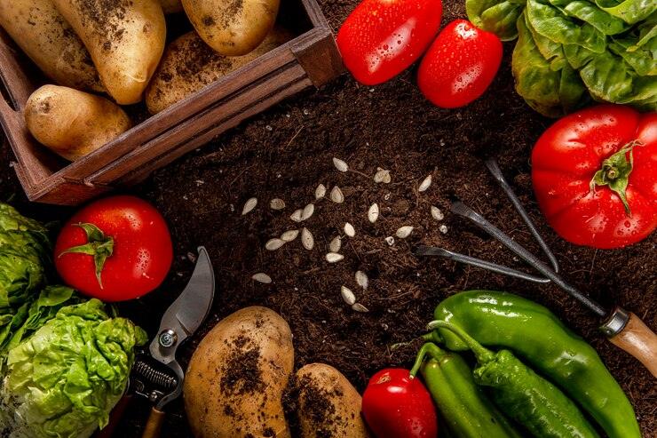 Spring Vegetable Seeds