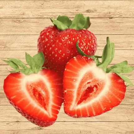10 Albion Everbearing Live Strawberry Bare Roots - Seed World