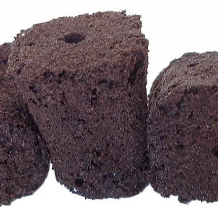 10 General Hydroponics Rapid Rooter Plugs - Seed World