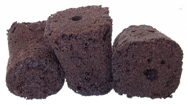 10 General Hydroponics Rapid Rooter Plugs - Seed World