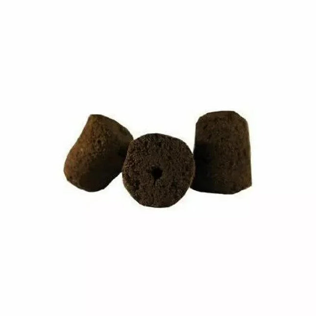 10 General Hydroponics Rapid Rooter Plugs - Seed World