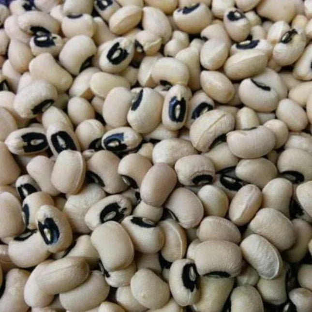 100 California Blackeye Cowpea Seeds - Seed World