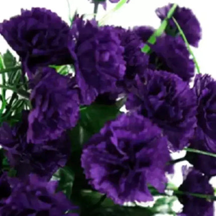 100 Carnation - Dianthus Flowers Seeds - Seed World