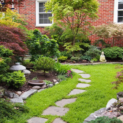 Lush garden with a stone path leading to a brick building