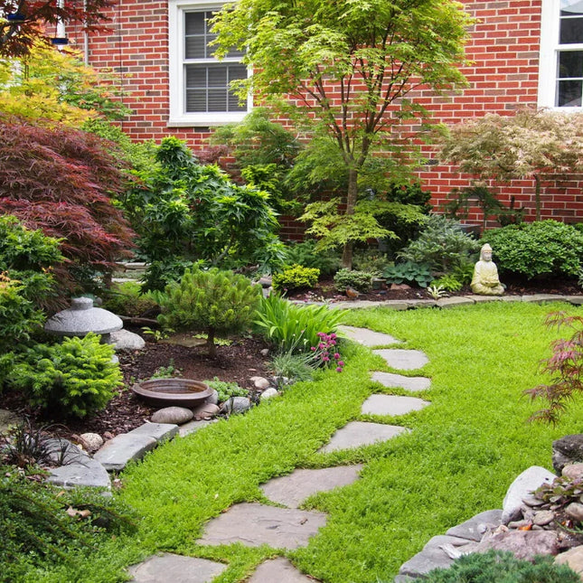 Lush garden with a stone path leading to a brick building
