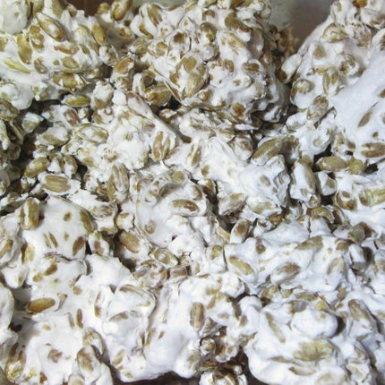 100 Lion's Mane Mushroom Plug Spawn - Seed World