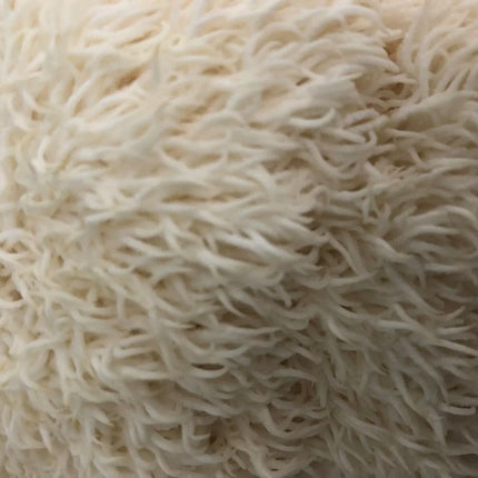 100 Lion's Mane Mushroom Plug Spawn - Seed World